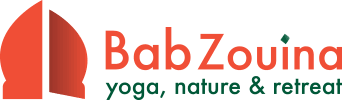 Bab Zouina